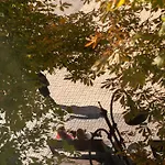 Vitosha Blvd - Family And Friends Apart